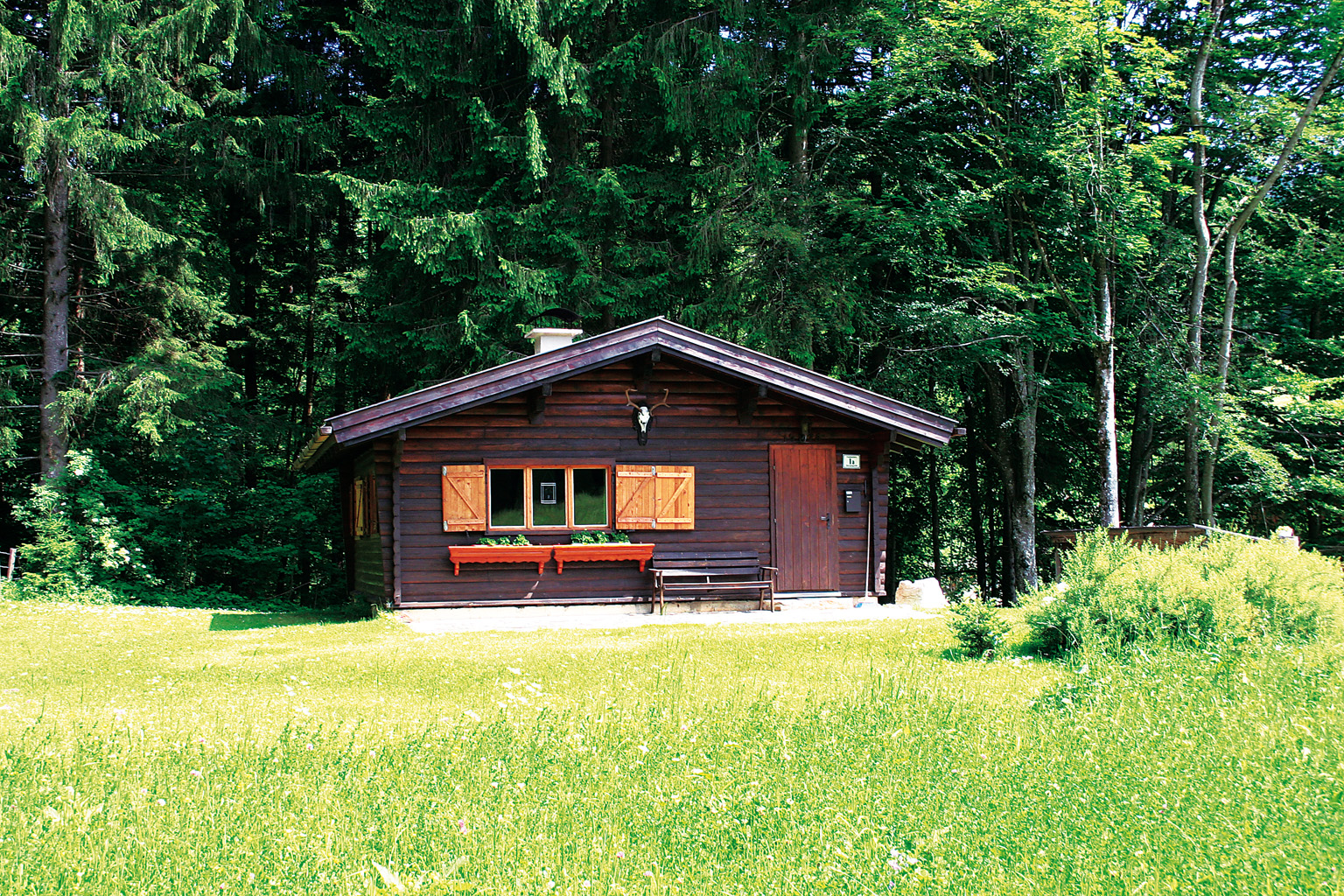 urige Hütte in Niederösterreich